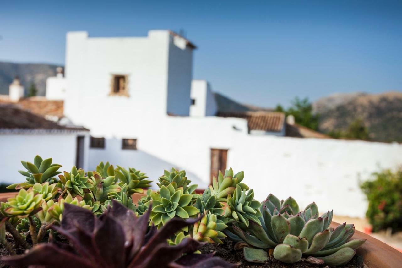 Algaba De Ronda Konuk evi Dış mekan fotoğraf