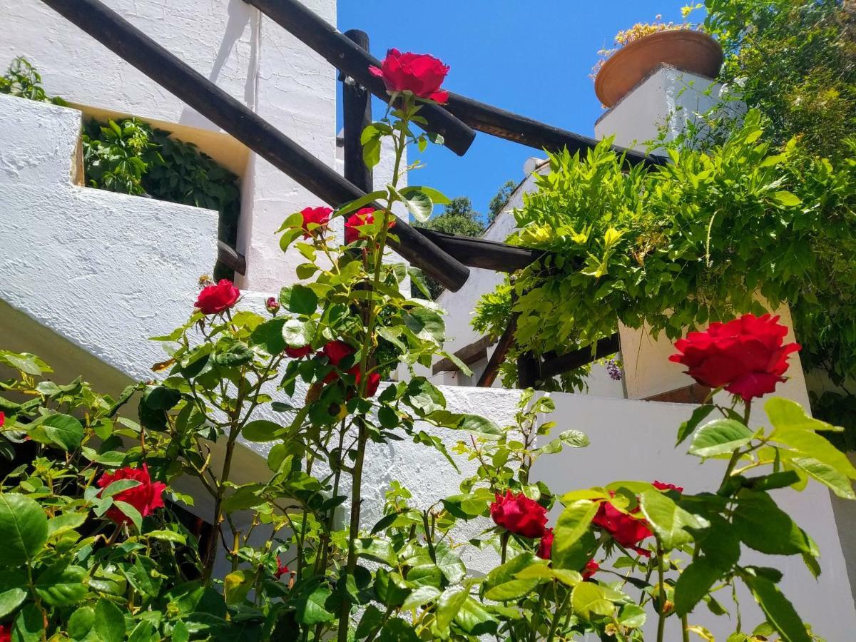 Algaba De Ronda Konuk evi Dış mekan fotoğraf